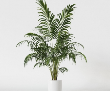 Modern Ground Green Plant Potted Plants-ID:962320099