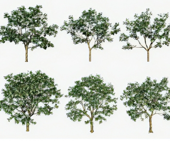 Modern Tree-ID:543596039