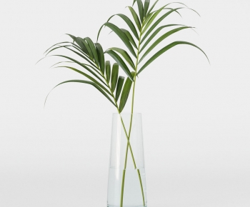 Modern Aquatic Green Plant-ID:534382107