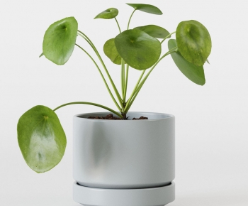 Modern Potted Green Plant-ID:137679627