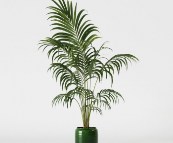 Modern Ground Green Plant Potted Plants-ID:394634013
