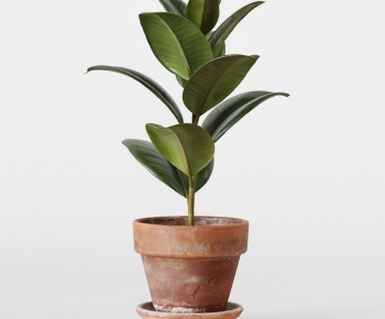 Modern Ground Green Plant Potted Plants-ID:125538111