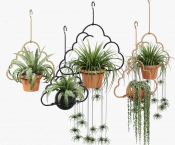 Modern Chlorophytum Comosum-ID:913295038