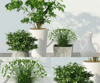 Modern Potted Green Plant-ID:860250954