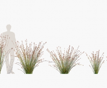 Modern The Grass-ID:409491171