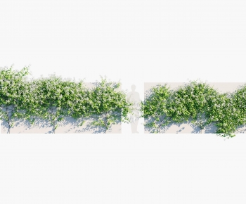 Modern Vine-ID:438538078