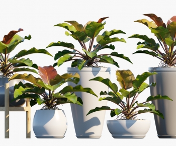 Modern Ground Green Plant Potted Plants-ID:659877063