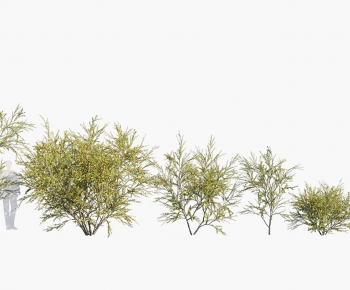 Modern Tree-ID:174279299