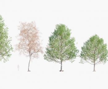 Modern Tree-ID:392185931