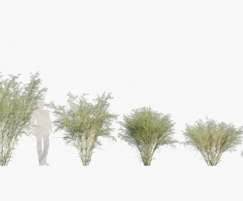 Modern The Grass-ID:198349006