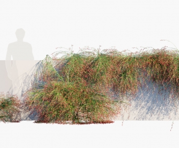 Modern Vine-ID:105660038