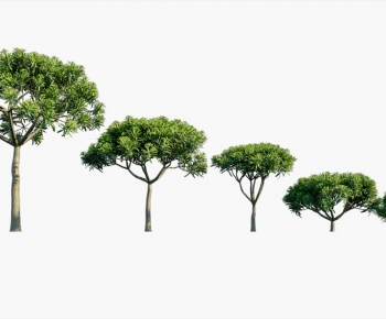 Modern Tree-ID:607920898