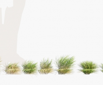 Modern The Grass-ID:952919963