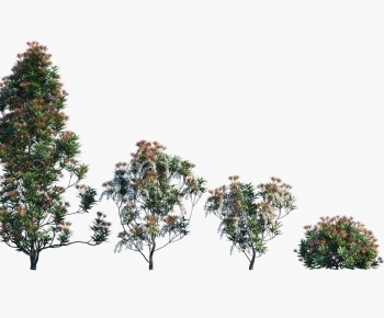 Modern Tree-ID:509730101