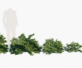 Modern Shrubbery-ID:135346897