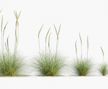 Modern The Grass-ID:988624106