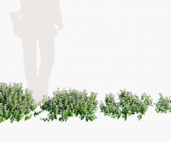 Modern Flowers And Grass-ID:591128114