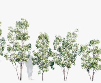 Modern Tree-ID:534589051