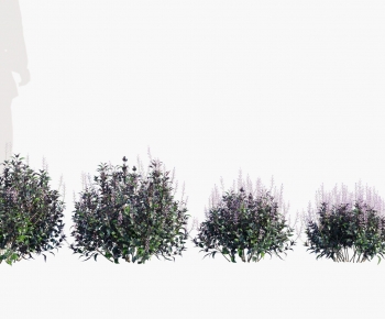 Modern Shrubbery-ID:978101029