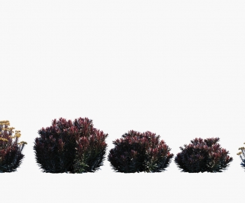 Modern Shrubbery-ID:876600031