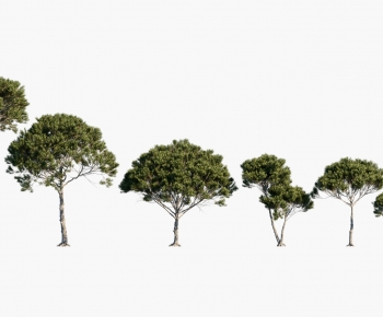 Modern Tree-ID:278728019