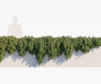 Modern Vine-ID:344389923