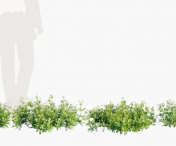 Modern Flowers And Grass-ID:872809898