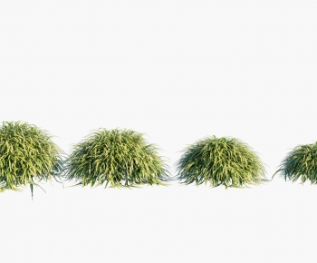 Modern Shrubbery-ID:327164895