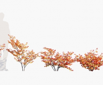 Modern Tree-ID:165843011