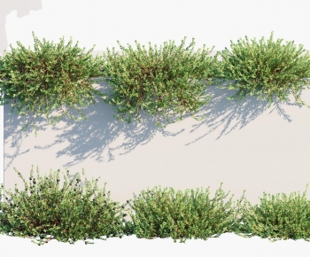 Modern Shrubbery-ID:360876083