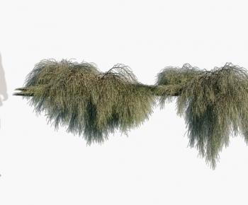 Modern Shrubbery-ID:340810068