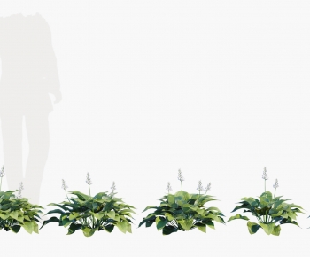 Modern The Grass-ID:469523917