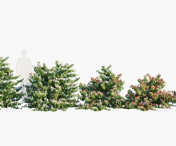 Modern Shrubbery-ID:225848917