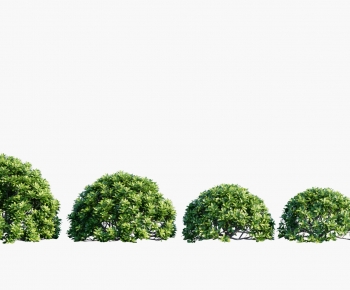 Modern Shrubbery-ID:121273048