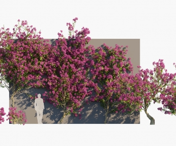Modern Vine-ID:427701956