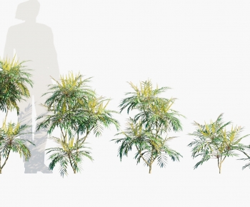 Modern Tree-ID:849467997