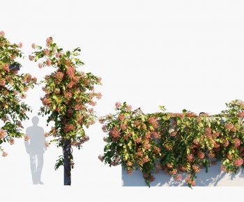 Modern Vine-ID:828780892