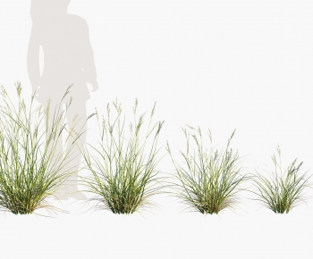 Modern The Grass-ID:111946111