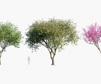 现代花园温带景观树组合-ID:948120121