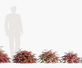 Modern Shrubbery-ID:523480891