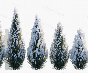 Modern Tree-ID:958550936