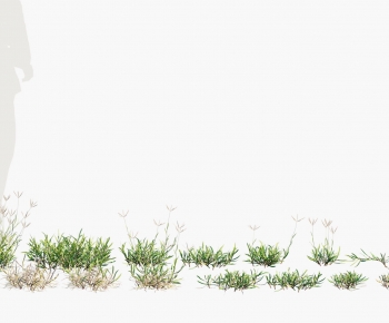 Modern The Grass-ID:586030585