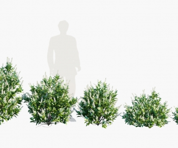 Modern Shrubbery-ID:979909918