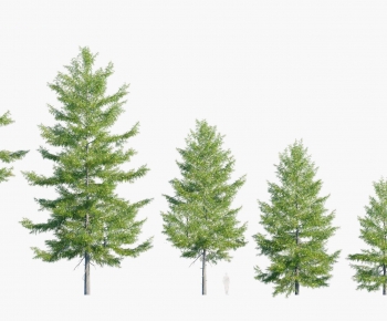 Modern Tree-ID:143181092