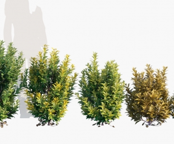 Modern Flowers And Grass-ID:762825012