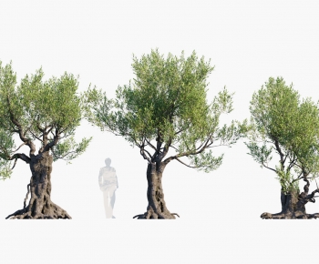 Modern Tree-ID:259834054