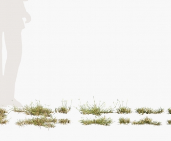 Modern The Grass-ID:198980096