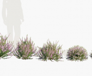 Modern Shrubbery-ID:648929125