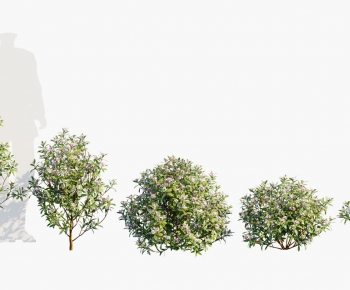 Modern Shrubbery-ID:867032055