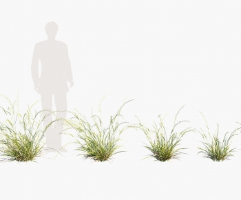 Modern The Grass-ID:724739073